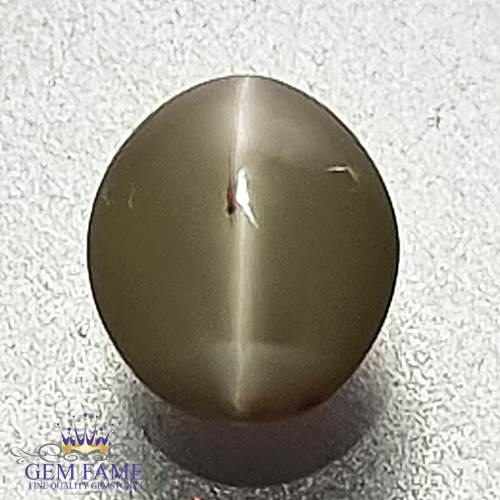 Chrysoberyl Cat's Eye 0.85ct Natural Gemstone