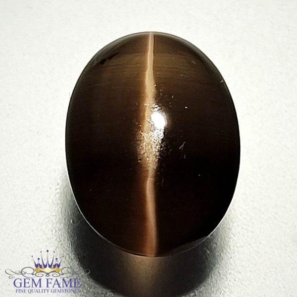 Sillimanite Cat's Eye 6.31ct Rare Gemstone.