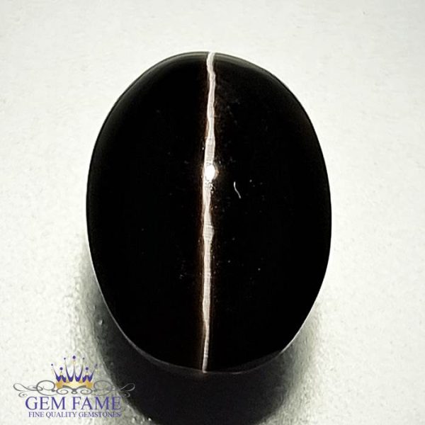 Sillimanite Cat's Eye 5.66ct Rare Gemstone.