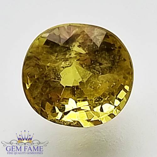 Yellow Sapphire 1.55ct Natural Gemstone Thailand