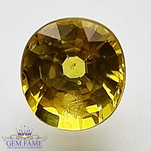 Yellow Sapphire 1.01ct Natural Gemstone Thailand