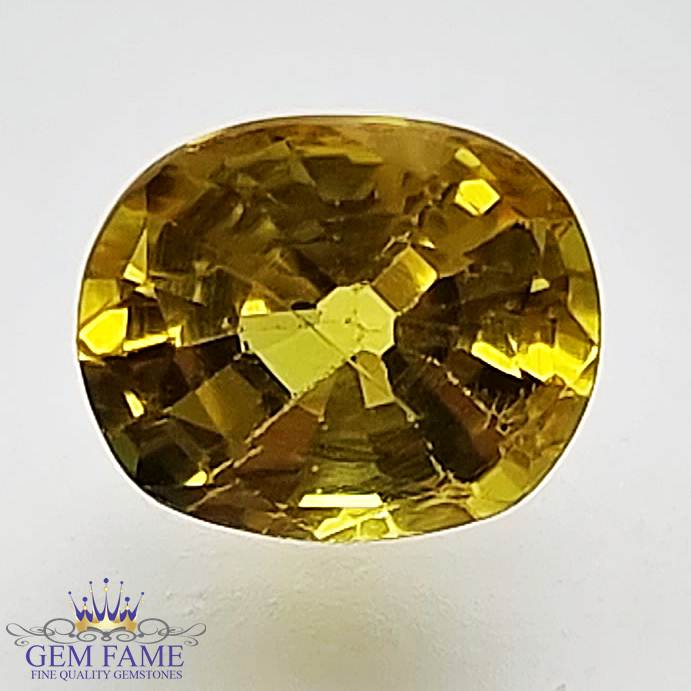 Yellow Sapphire 1.49ct Natural Gemstone Thailand